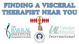 How to Find a Visceral Manipulation Therapist Near You
