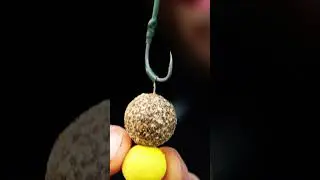 Best Carp Baits Combo Seedy Boilies + Pop Up 