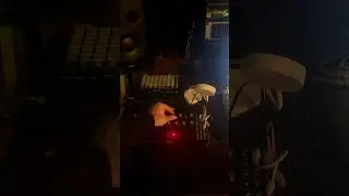 Moog Dfam 6 