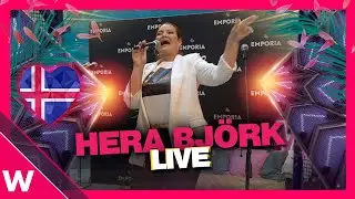 🇮🇸 Hera Björk 
