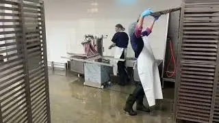 How to produce meat sticks 2 tons per day?
