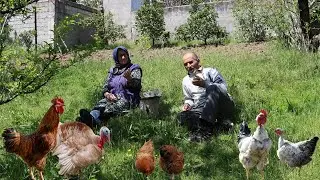 village life in 2024 |  my village lifestyle | life in iran