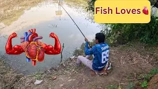 🫀 Birds Heart Used as Food in Hook for Amazing Fishing by This Village Boy