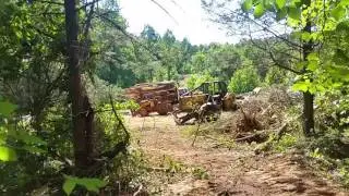 clearing  land 2