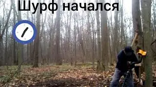 Шурф 2019 Украина