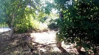 лукьянівка таращанський район