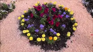 А вам интересно смотреть видео о садах разных людей?