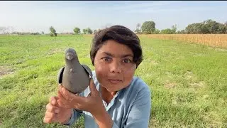 ASMR fast and aggressive 😤