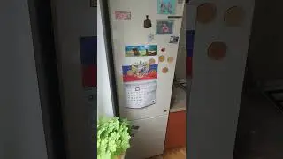 2 августа 2024 г.