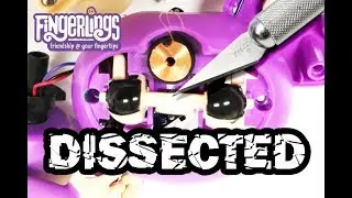 What's Inside a Fingerlings? Real and Fake Monkeys Dissected