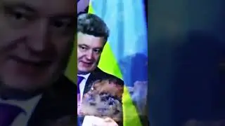 Как же начиналась война на донбассе #russia #2024 #dondass #своихнебросаем #сво