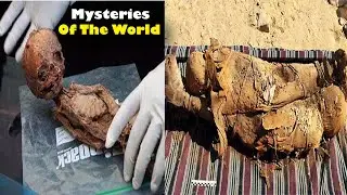 24 UNSOLVED MYSTERIES OF THE WOLD