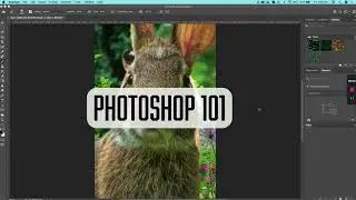 Photoshop 101   group masks and gradient masks 1