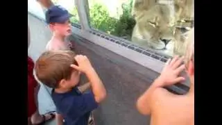 Parc safari au québec 7 août 2012 part 14