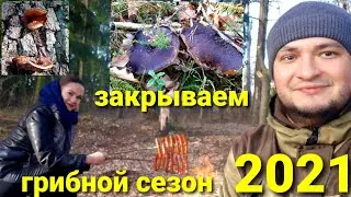 Закрываем грибной сезон 2021. Нашёл и приготовил вешенку. Грибы ноября.