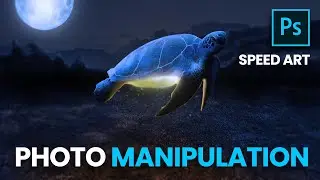 Tortoise Manipulation | Photoshop Speed Art