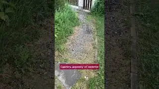 Вышла прогуляться по саду и составила список первостепенных доделок #сад #стройка #дача