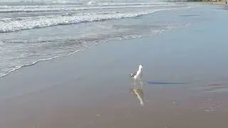 Água, praia, nascer e pôr do sol...venha relaxar e se inspirar!