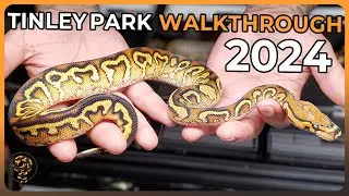 This is the AWESOME NARBC Tinley Park October 2024 WALKTHROUGH!