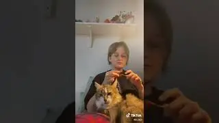 knitting 
