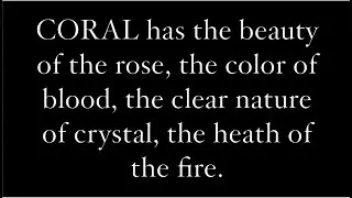 Keith's Coral
