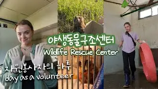 다친 야생동물은 어디로 가나요? 야생동물구조센터에서 4개월간의 자원봉사 일지🦡🦉🌿