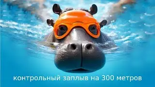 Контрольный заплыв на 300 метров в бассейне