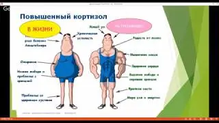 Ничего не ем и толстею Стресс Кортизол Глюкоза Инсулин  Занятие 6  Школы диетологии