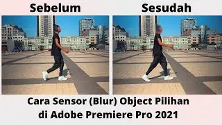 Cara Sensor (Blur) ) Object Pilihan di Adobe Premiere Pro 2021