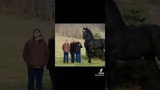 Animales pequeños vs gigantes #shorts