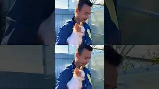 Шок Урожай