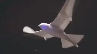 Искусственная птица