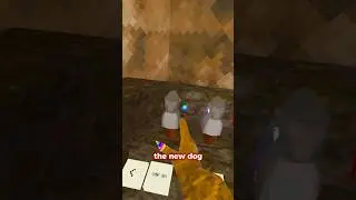 I OWN THE RAREST COSMETIC IN GORILLATAG! 
