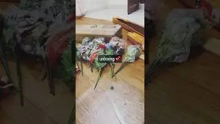 markasdagang.plg
