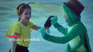 LEDNI REVUE barva