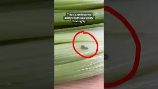 Reminder to throughly wash your Celery