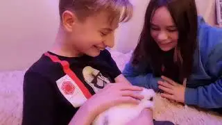 #влог Выходные с семьёй 💖ПУШИСТЫЙ СЮРПРИЗ