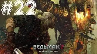 The Witcher 2: Assassins of Kings. Серия 22 [Проблемы семьи троллей]
