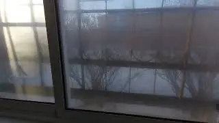 a video that was in my phone