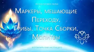 Маркеры, мешающие Переходу, Употребление Грибов, Точка Сборки, Молитвы