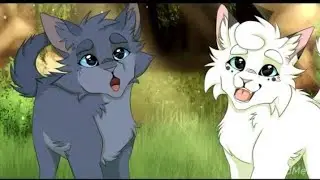 Коты-воители. [GRRLS].