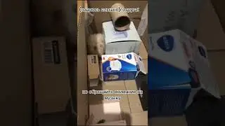 14 января 2024 г.