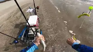 Late December Surf Fishing...Whiting and Red Fish