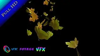 01 Осенняя падающая листва