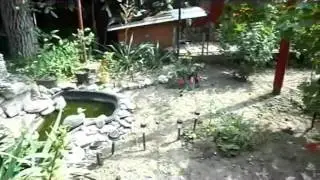 Клип, про Варениковскую