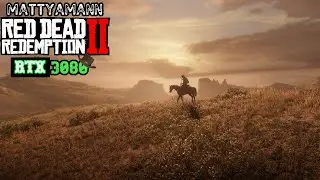 Red Dead Redemption 2 ULTRA FPS TEST RTX 3080 & 2700 X