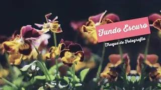 Fundo Escuro c/Parede branca - Truque de Fotografia