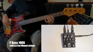 Jad Freer CAPO demo pt2 w Precision bass (flat wound strings)  - BASS PILLS