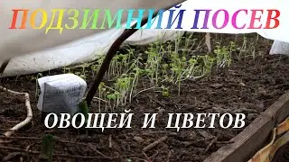 Посадки под зиму. Подзимний посев семян овощей и цветов/Landing before winter.