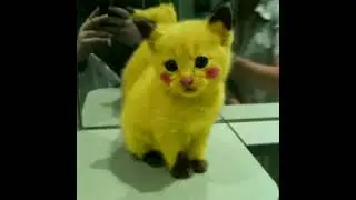 азвучка манги 